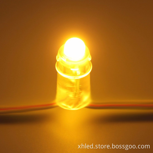Outdoor High Quality Waterproof IP67 F8 DC12V 12mm 3 Years Warranty Led Lighted Pixels